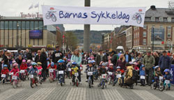 Ned Ståggån